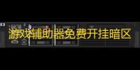 游戏辅助器免费开挂暗区突围-暗区突围游戏辅助器危害大 ，破坏平衡还存安全风险
